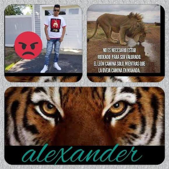 Meet your Posher, Edwin alexander - Picture 1 of 1